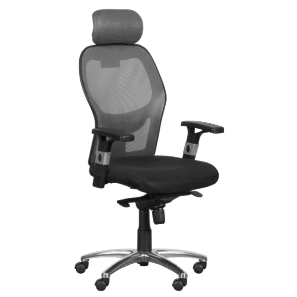 Ергономичен стол Carmen 7520 - черен - сив