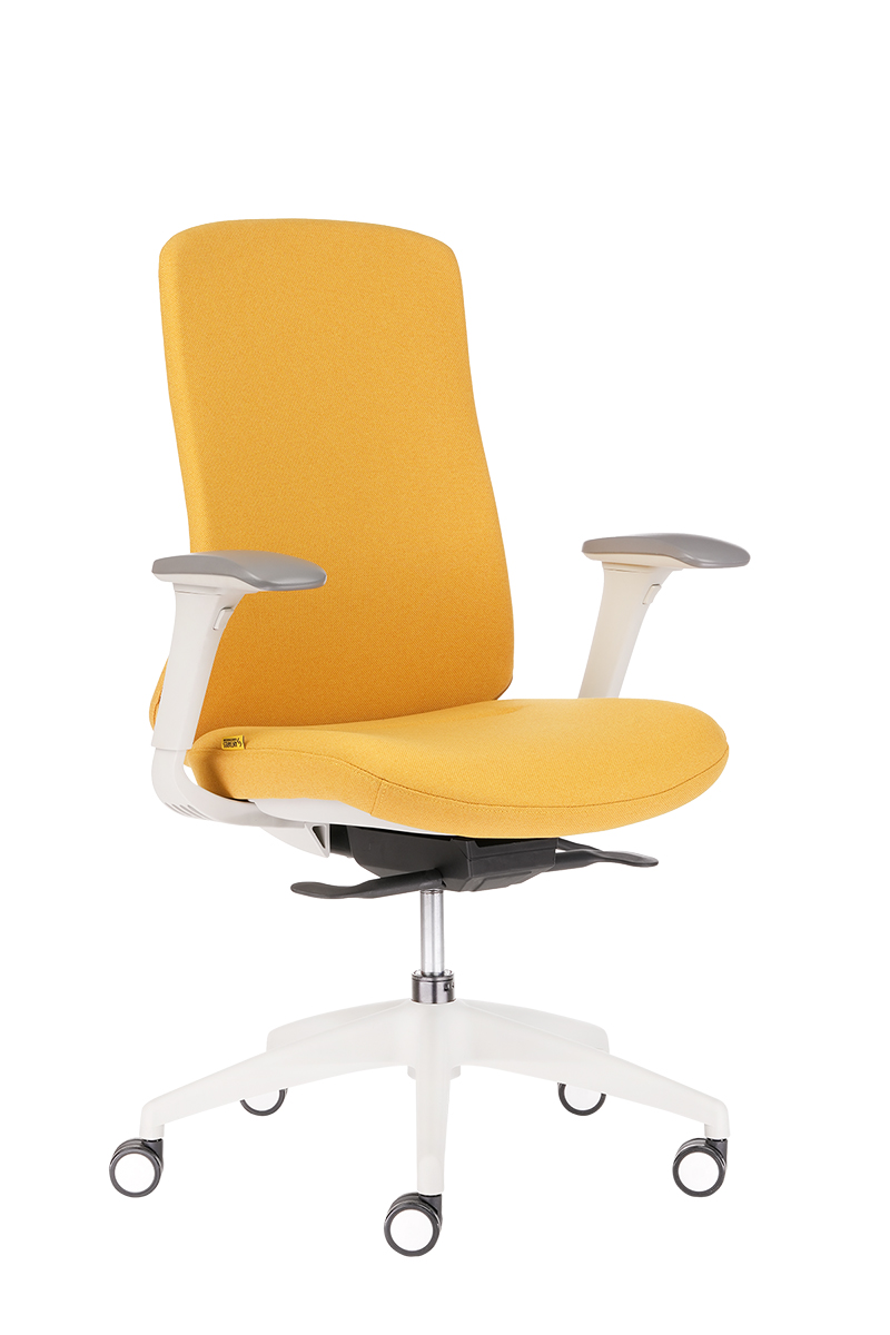 Ергономичен стол Antares EDWIN