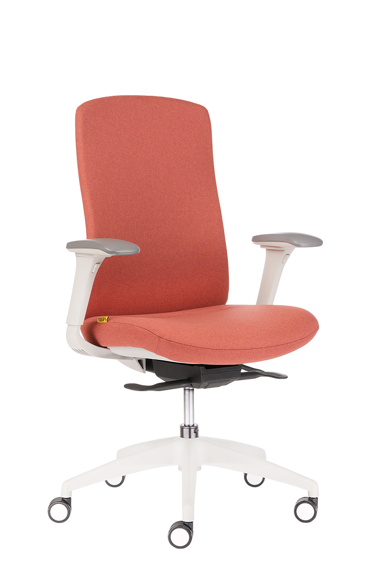 Ергономичен стол Antares EDWIN