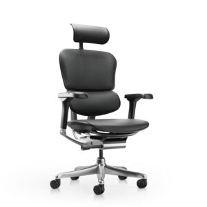 Ергономичен стол Antares ERGOHUMAN ELITE 2 LE