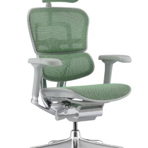 Ергономичен стол Antares ERGOHUMAN ELITE 2