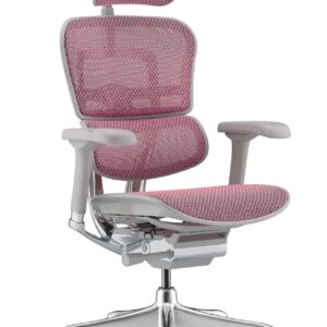 Ергономичен стол Antares ERGOHUMAN ELITE 2