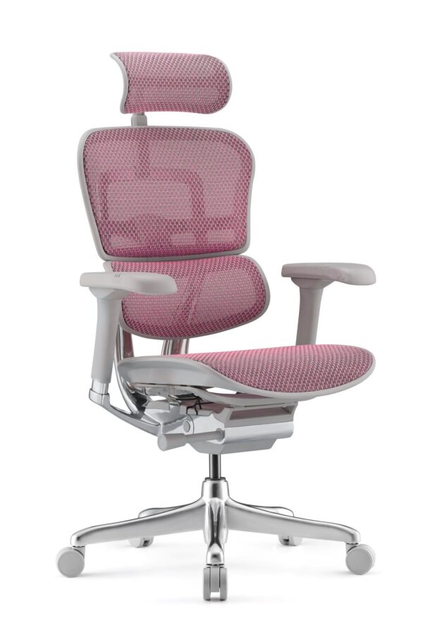 Ергономичен стол  Antares ERGOHUMAN ELITE 2