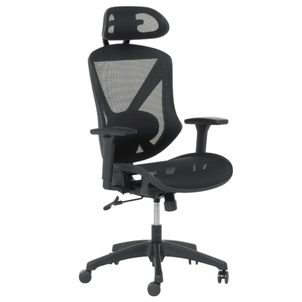 Ергономичен стол CAEN - черен