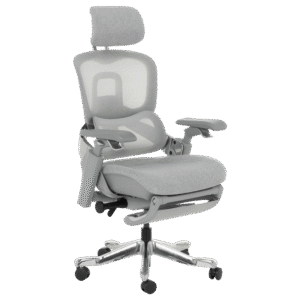 Ергономичен стол DOLE W - сив