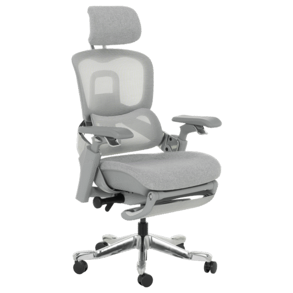 Ергономичен стол DOLE W - сив