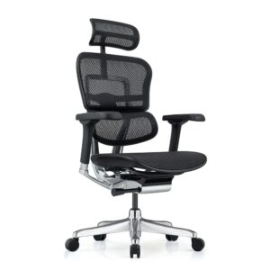 Ергономичен стол Antares ERGOHUMAN ELITE 2