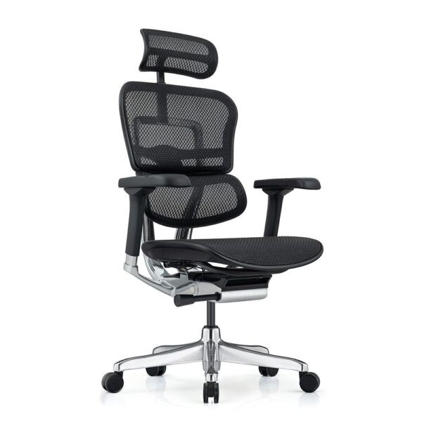 Ергономичен стол  Antares ERGOHUMAN ELITE 2