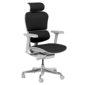 Ергономичен стол ERGOHUMAN ELITE 2 - сива рамка - черен