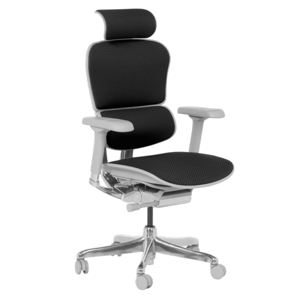 Ергономичен стол ERGOHUMAN ELITE 2 - сива рамка - черен Ергономичен стол ERGOHUMAN ELITE 2 - сива рамка - черен