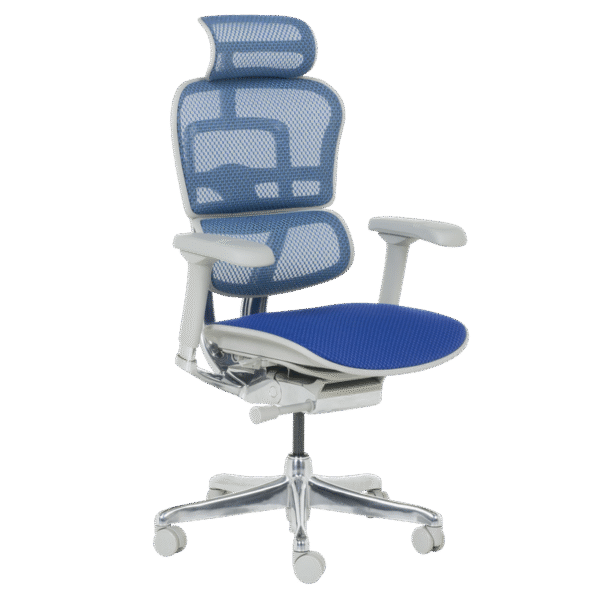 Ергономичен стол ERGOHUMAN ELITE 2 - сива рамка - син