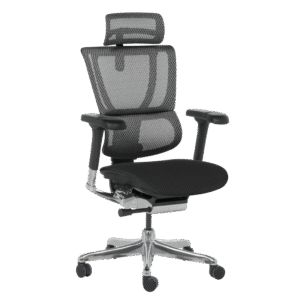 Ергономичен стол ERGOHUMAN IOO ELITE 2 - черна рамка - черен