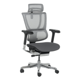 Ергономичен стол ERGOHUMAN IOO ELITE 2 - черна рамка - сив