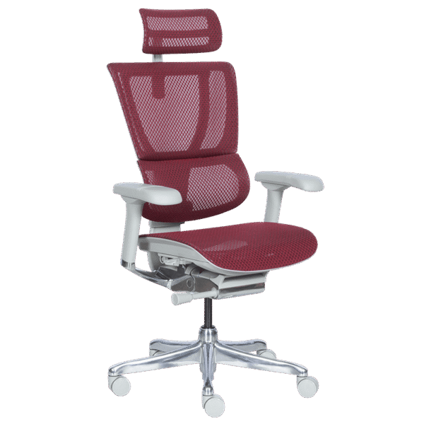 Ергономичен стол ERGOHUMAN IOO ELITE 2 - сива рамка - червен