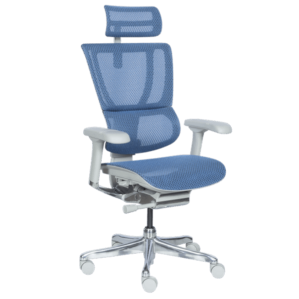 Ергономичен стол ERGOHUMAN IOO ELITE 2 - сива рамка - син