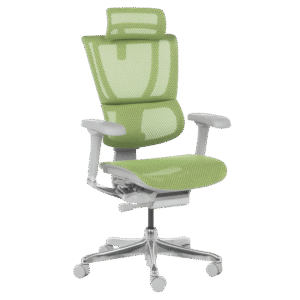 Ергономичен стол ERGOHUMAN IOO ELITE 2 - сива рамка - зелен