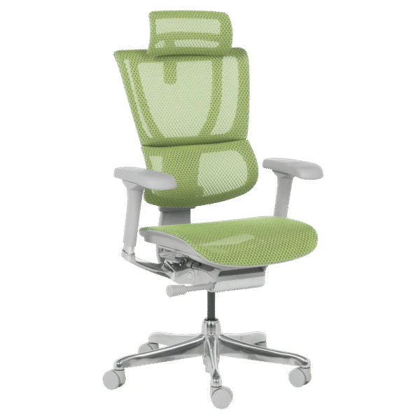 Ергономичен стол ERGOHUMAN IOO ELITE 2 - сива рамка - зелен Ергономичен стол ERGOHUMAN IOO ELITE 2 - сива рамка - зелен