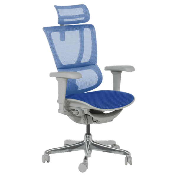 Ергономичен стол ERGOHUMAN IOO ULTRA - сива рамка - син