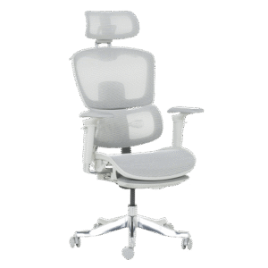 Ергономичен стол HAM W - сив