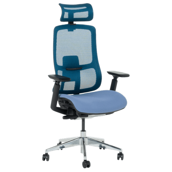 Ергономичен стол SALTO - син