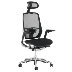 Ергономичен стол VAUD - черен