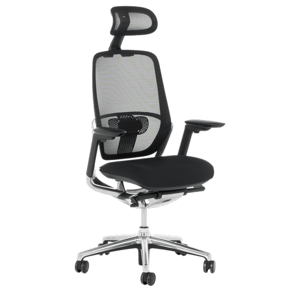 Ергономичен стол VAUD - черен