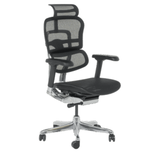 Ергономичен стол ERGOHUMAN ELITE 2 - черна рамка - черен