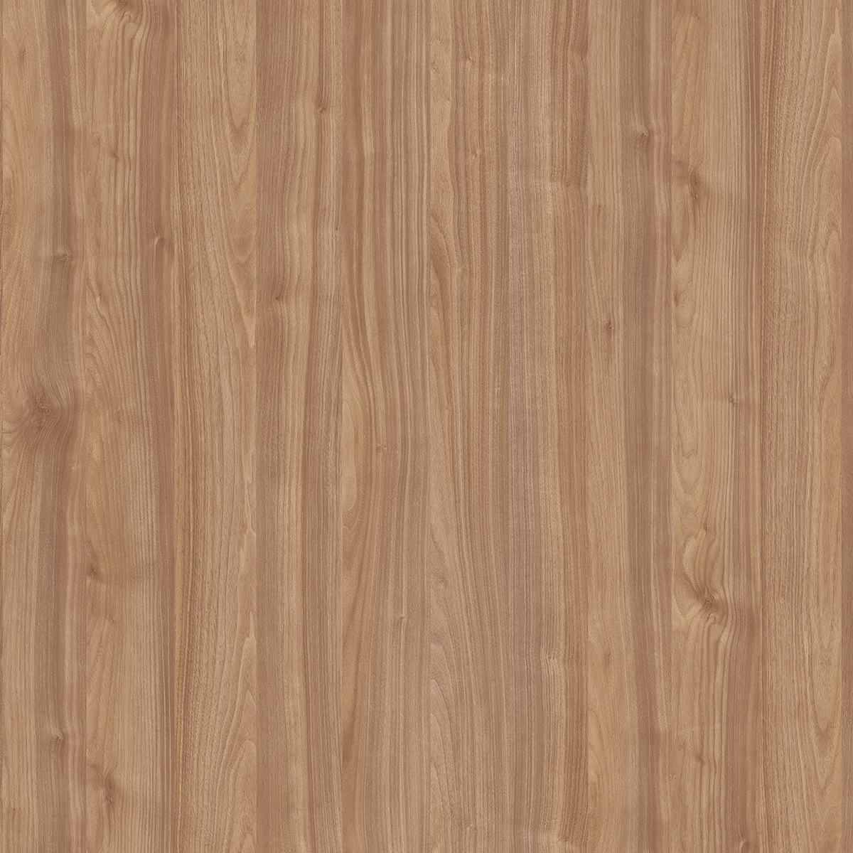 Плот Antares 1600x800x25 mm