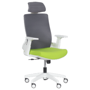 Президентски офис стол Carmen 7546 - зелен-сив